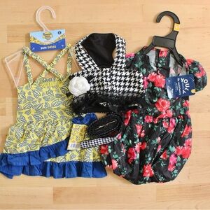 3 Piece Small Female Dog Bundle